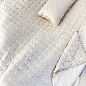 Barbara Barry Dream Silk Queen Coverlet plus 2 Throw Pillows